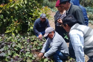 promotores-agricultura-ecuador-sedal