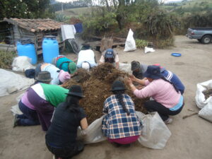 taller-practico-compost