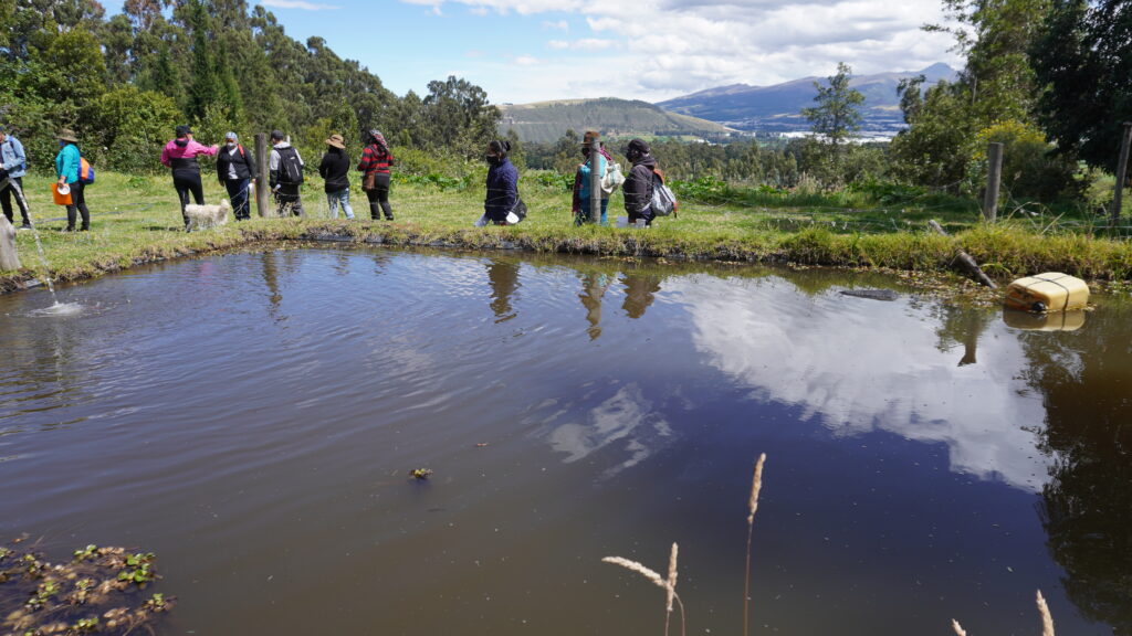 Sistema Participativo de Garantia